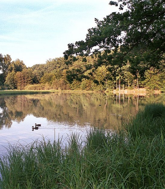 Der Hölzersee