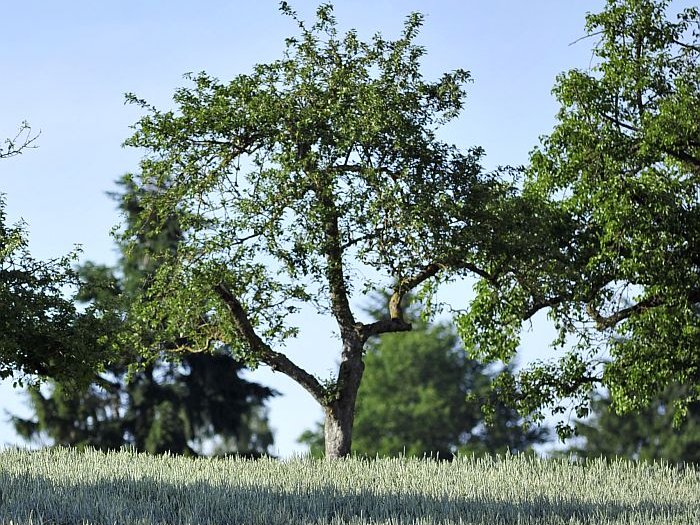 Engagement für die Natur